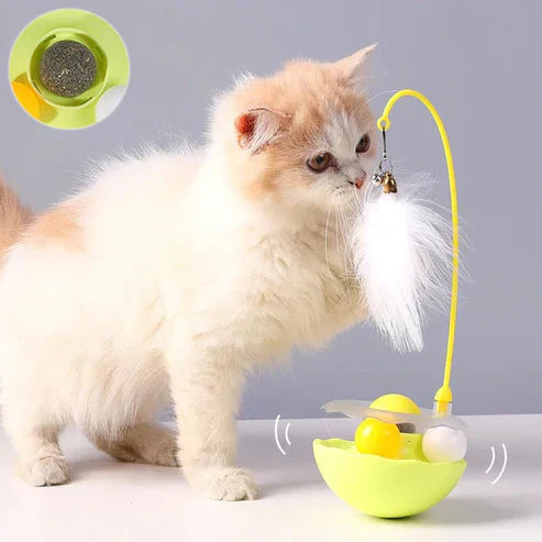 Cat  Toy